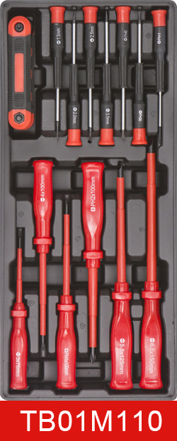 6-TB01M110