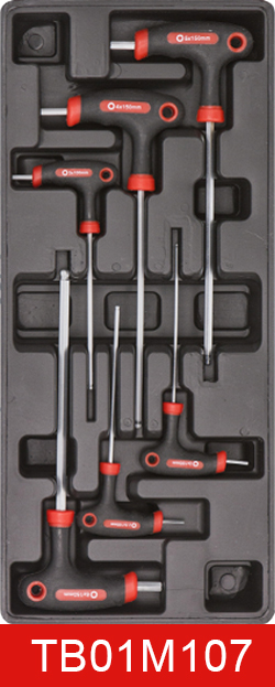 6-TB01M107
