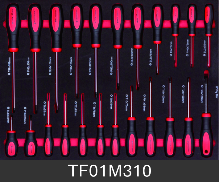 TF01M310