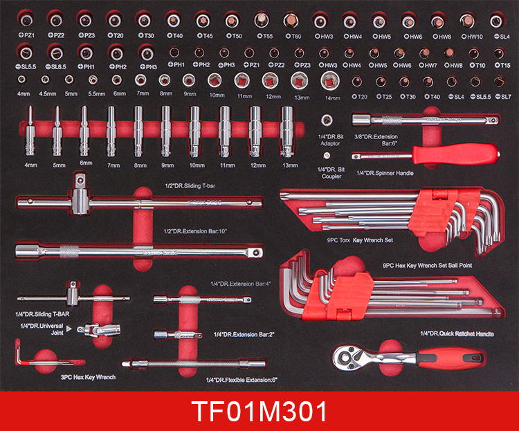 1-TF01M301