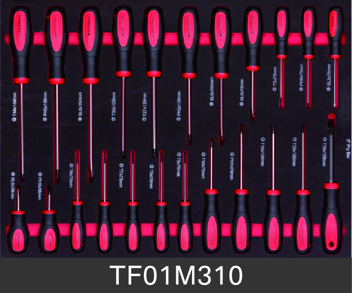 TF01M310